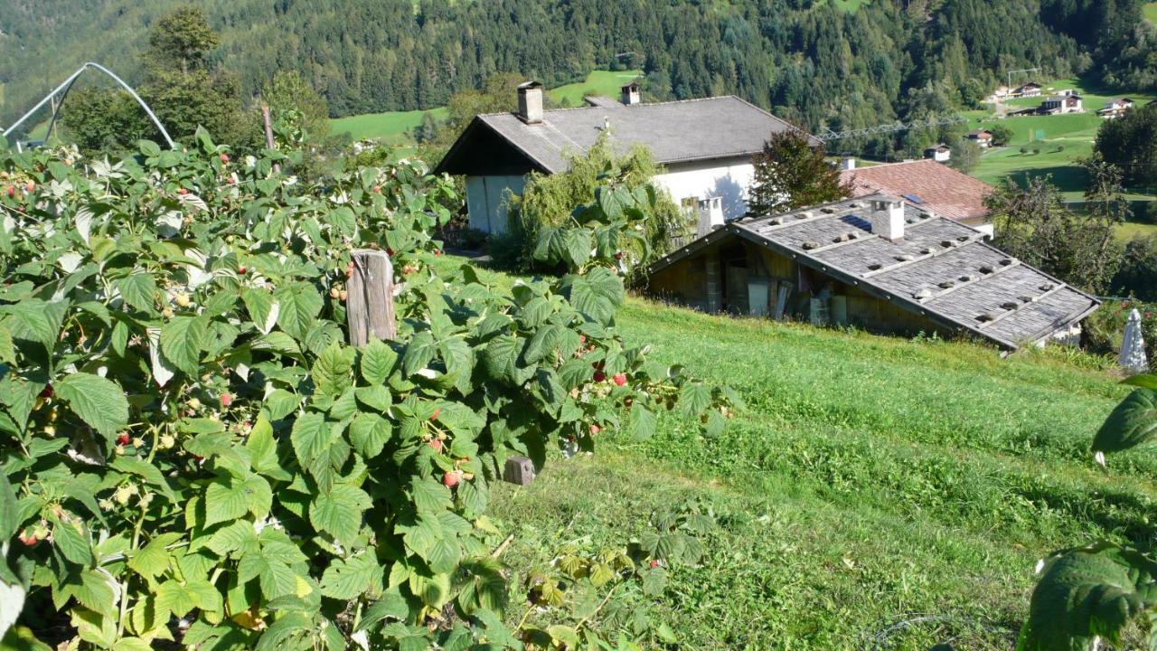 Obergereuth Hof 1288 Apartment San Martino In Passiria  Bagian luar foto